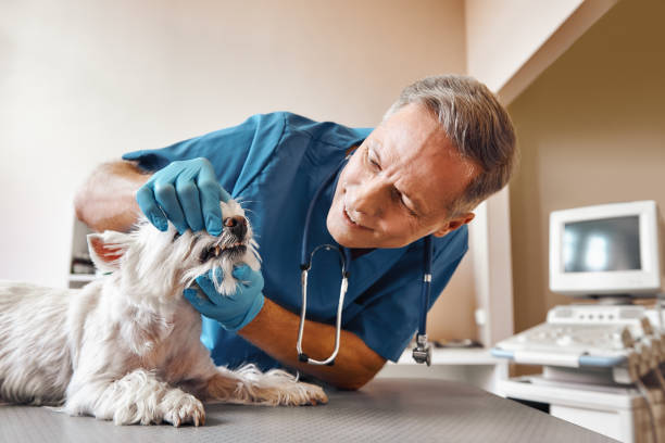 Best Emergency Dentist for Special Needs Patients in Farmingdale, NJ